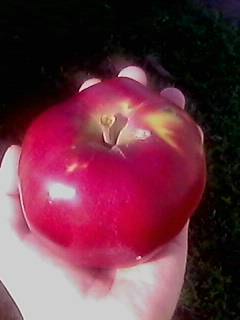 IMG0493A.jpg