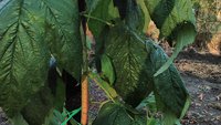 IMG_20160904_171822.jpg
