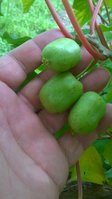 WP_20160904_008.jpg