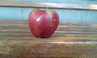 20160907_151336.jpg