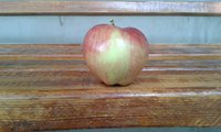 20160907_151343.jpg