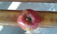 20160907_151347.jpg