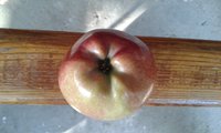 20160907_151359.jpg