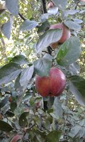 20160907_151504.jpg