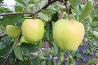 IMG_6511.jpg