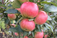 IMG_6497.jpg