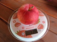 DSC05455-01.jpg