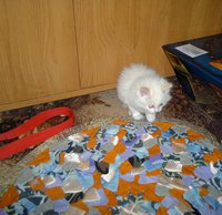 17032013606.jpg