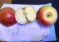 IMG_7130.jpg