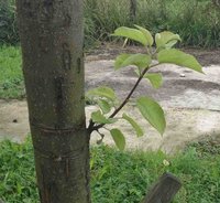 IMG_6965_1.jpg