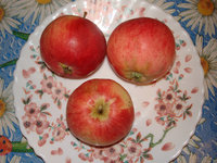DSC04260b.jpg