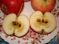 DSC04266b.jpg