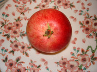 DSC04267b.jpg