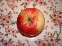 DSC04268b.jpg