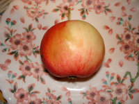 DSC04269b.jpg
