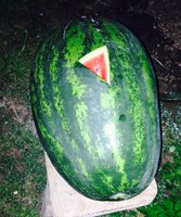 image.jpeg