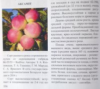 86-55/53 - это [Белорусское малиновое * ВМ41497], устойчивый к грибам гибрид с каким-то Rvi17
