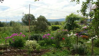 DSC03099.jpg
