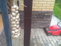 IMG_20160911_221219.jpg