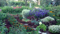 DSC02905.jpg
