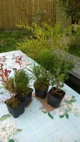WP_20160912_003.jpg