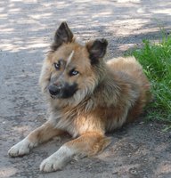 P1070414-2.jpg