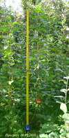 P1080148-4.jpg