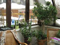 IMG_1369.JPG