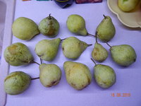 DSCN2440_1.JPG