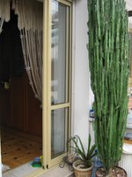 IMG_1370.JPG