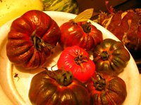 IMG_1502.JPG