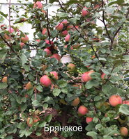 2016.09.17 20-27-02.JPG