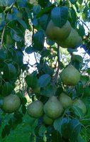 Платонаўская3_20160914.jpg