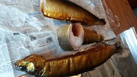 20160920_105848.jpg