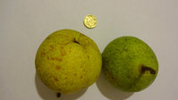 DSC00359.jpg