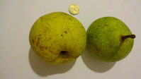 DSC00361.jpg