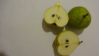 DSC00363.jpg