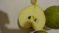 DSC00365.jpg