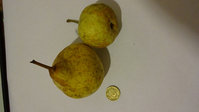 DSC00370.jpg