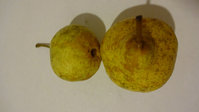 DSC00374.jpg