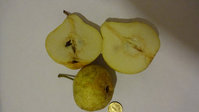DSC00376.jpg