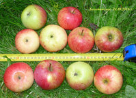 P1080176-3.jpg