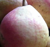 20151004_161557-1-1-1.jpg