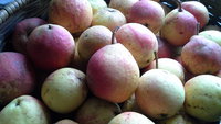 20151004_161557.jpg