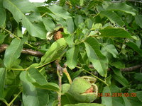 DSCN1341.JPG