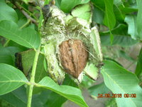 DSCN1342.JPG