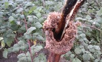 20160924_104743.jpg