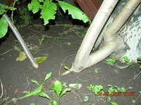 DSCN1349.JPG