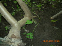 DSCN1355.JPG