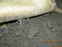 DSCN1357.JPG